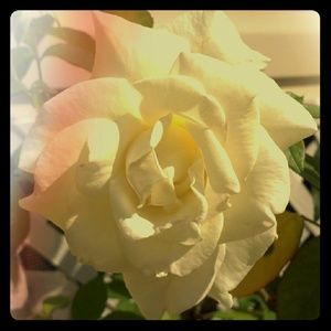 👸👚👗👙👘👒👛